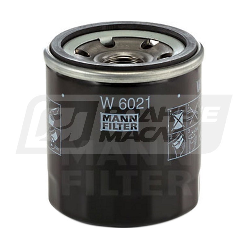 MANN W 6021 (C-GM 19266241) W6021